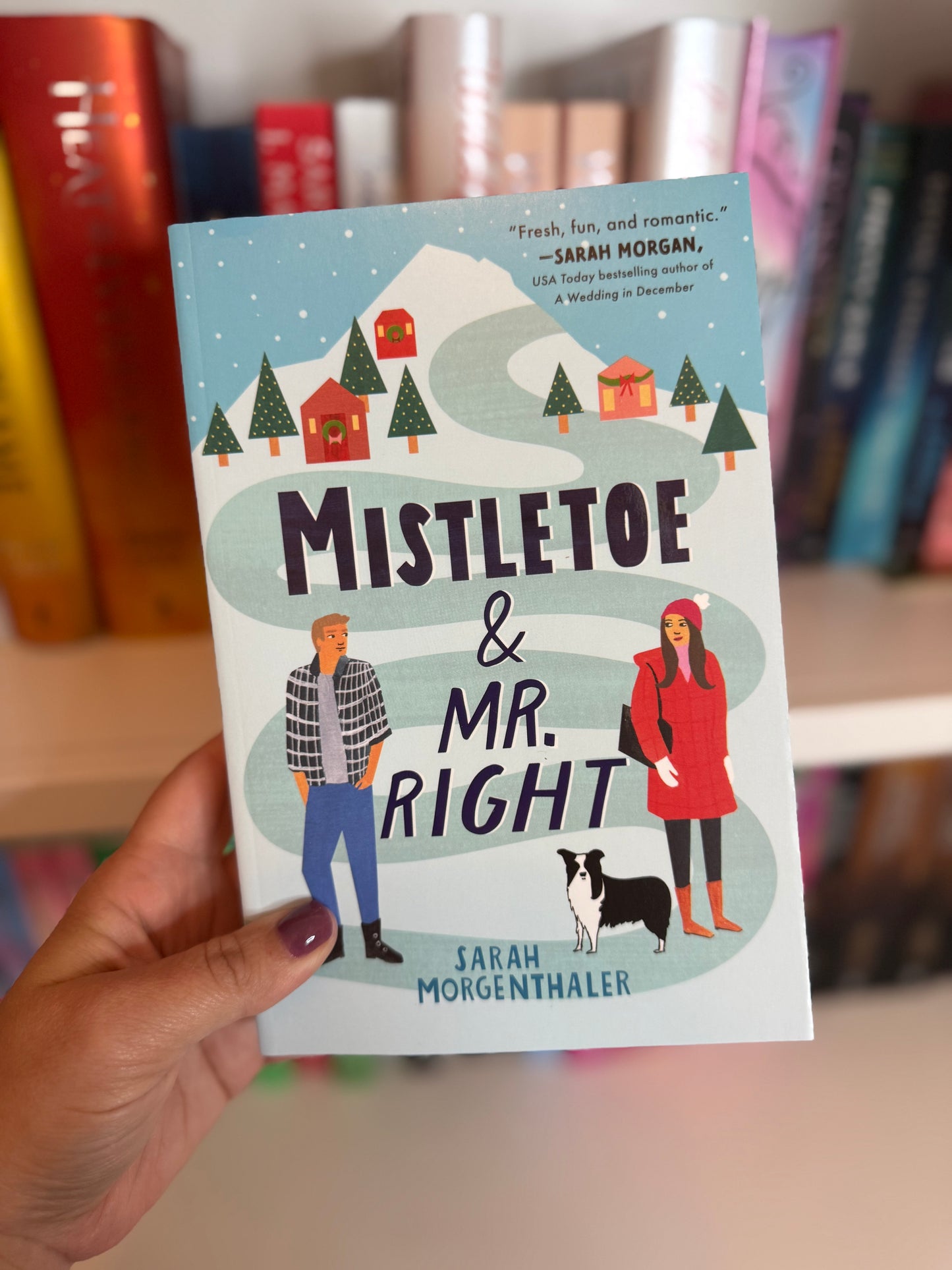 Mistletoe & Mr. Right