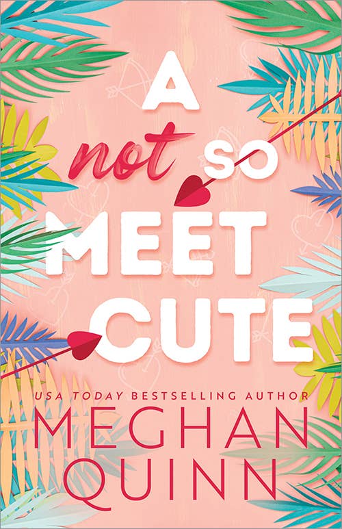 Not So Meet Cute by Megan Quinn