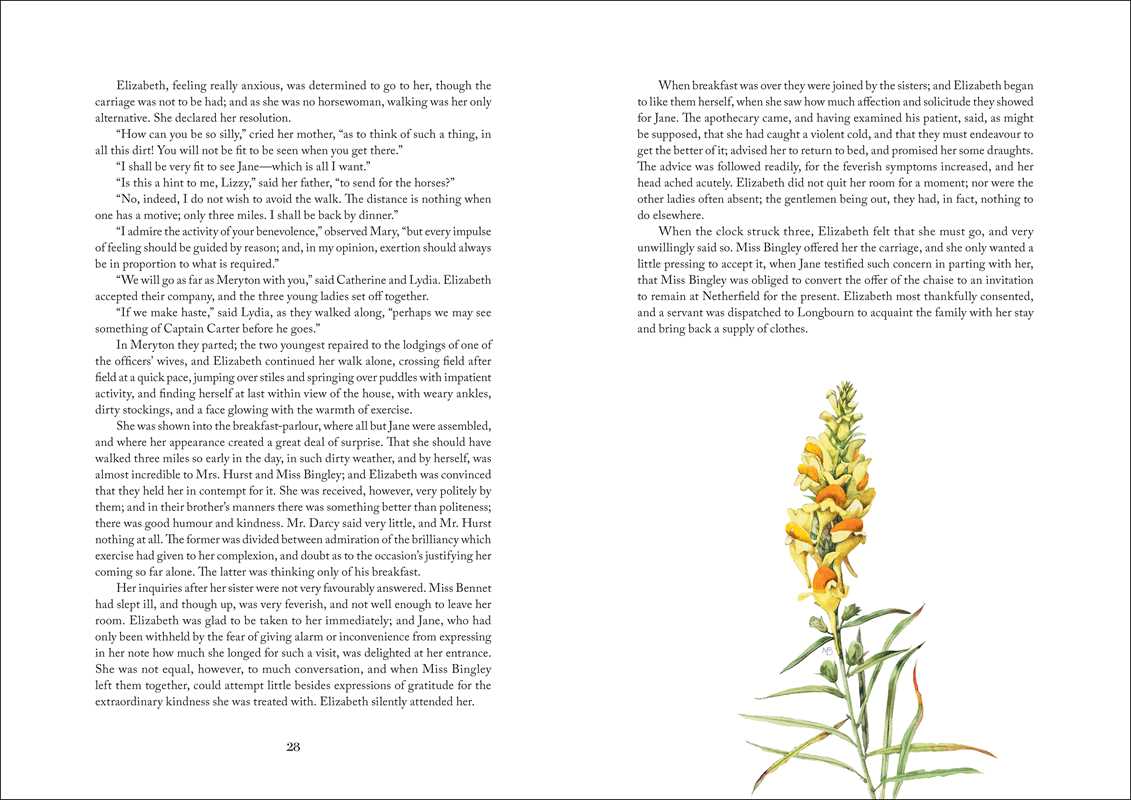 Pride and Prejudice by Jane  Austen